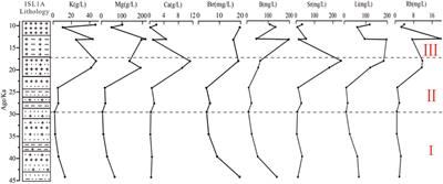 Halogenases of Qarhan Salt Lake in the Qaidam Basin: Evidence From Halite Fluid Inclusions